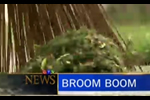 Broom Boom: CTV news coverage of the Original Garden Broom